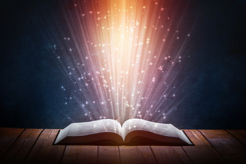 关于笔记本电脑MAC码全为0无法上网的问题