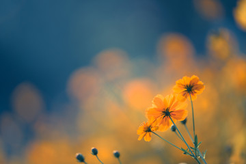 关于笔记本电脑MAC码全为0无法上网的问题