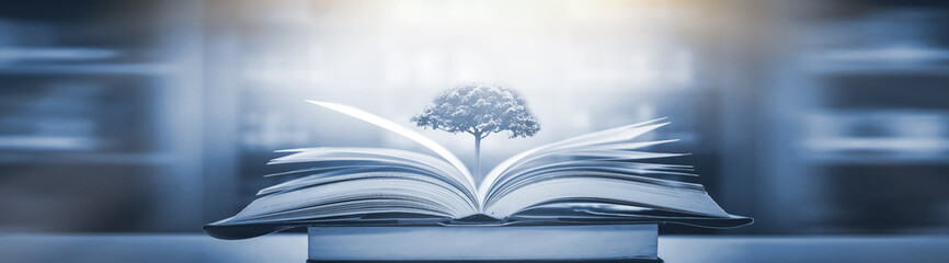 关于笔记本电脑MAC码全为0无法上网的问题