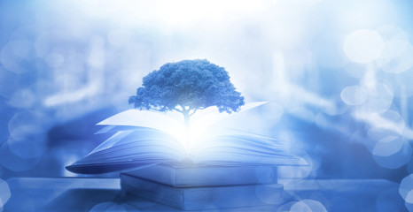 华硕笔记本数字键“0”打不出来怎么办？