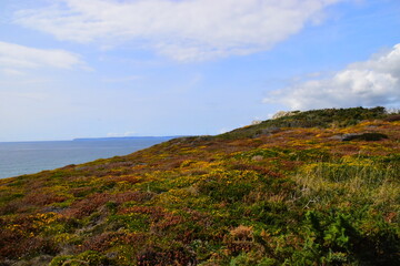顺丰快递寄笔记本电脑是否安全