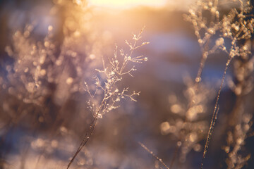 i5双核4线程 索尼时尚新本S118抢先评测