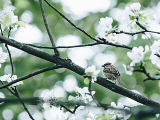 关于笔记本电脑MAC码全为0无法上网的问题