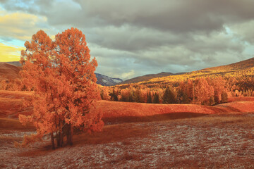 华硕笔记本数字键“0”打不出来怎么办？