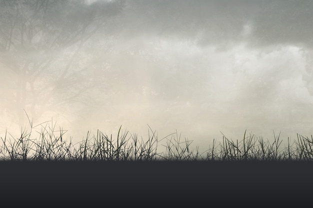 关于笔记本电脑MAC码全为0无法上网的问题