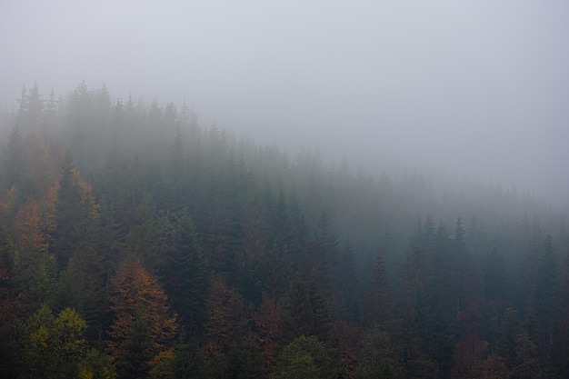 如何查联想笔记本电脑的配置参数