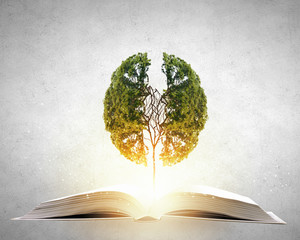 滑盖触屏音乐机 金立荷塘系列M500评测