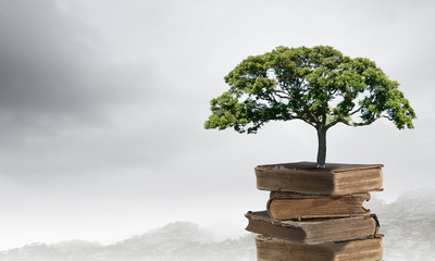 如何查联想笔记本电脑的配置参数