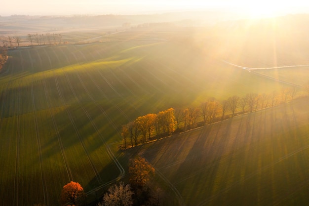 关于笔记本电脑MAC码全为0无法上网的问题
