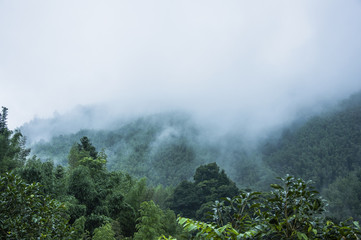 惠普笔记本cq43怎么拆清理风扇